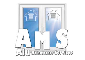 ALU MAINTENANCE ET SI  ( AMS ) 