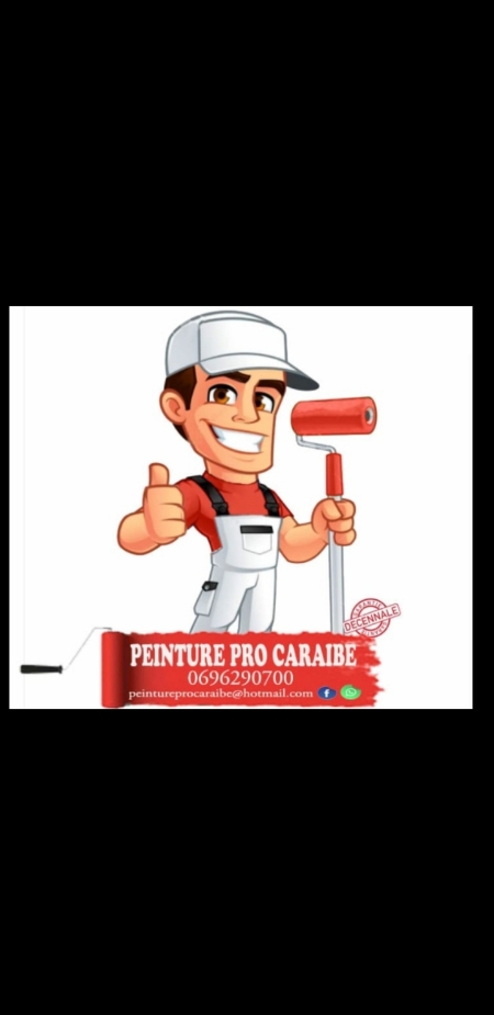 Peinture pro Caraibe