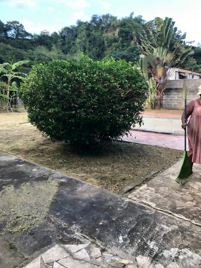 Elagage, Debrouissallage, Entretien Jardin à Le Gosier