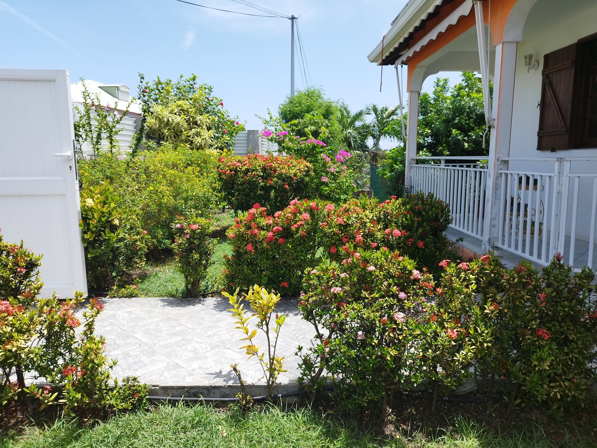 Elagage, Debrouissallage, Entretien Jardin à Saint-François