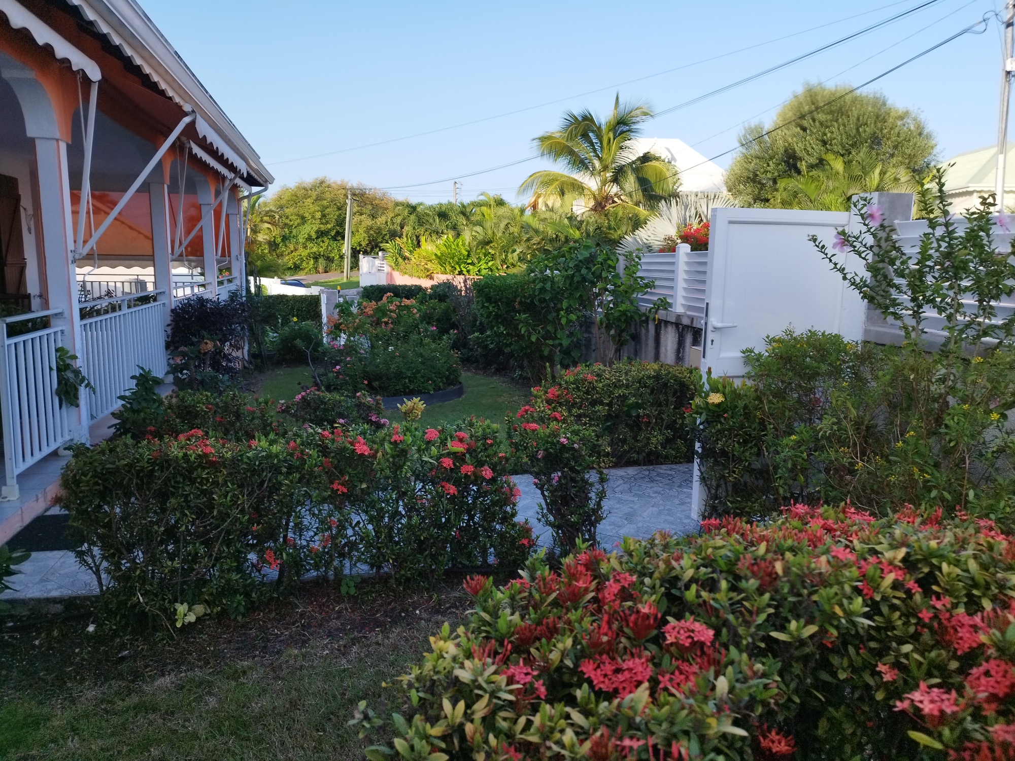 Elagage, Debrouissallage, Entretien Jardin à Saint-François