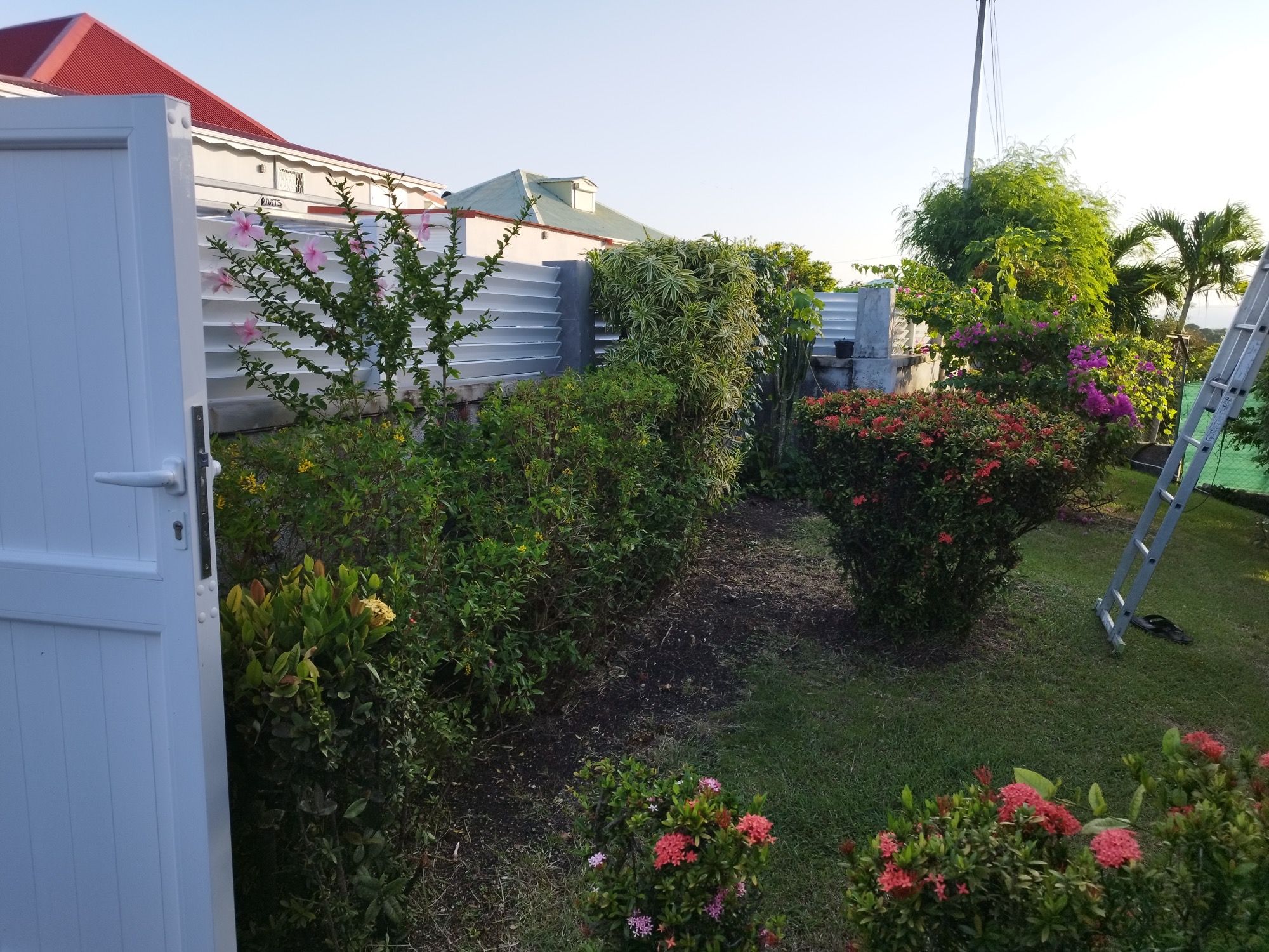 Elagage, Debrouissallage, Entretien Jardin à Saint-François