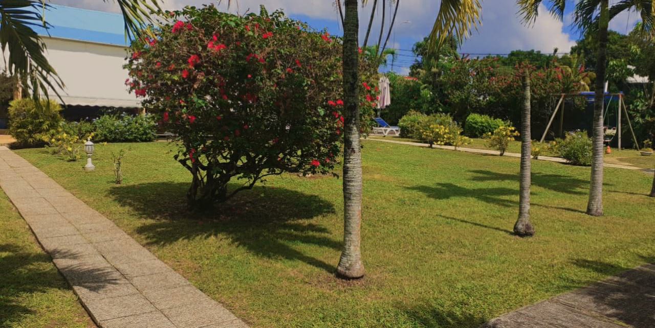 Elagage, Debrouissallage, Entretien Jardin à Lamentin