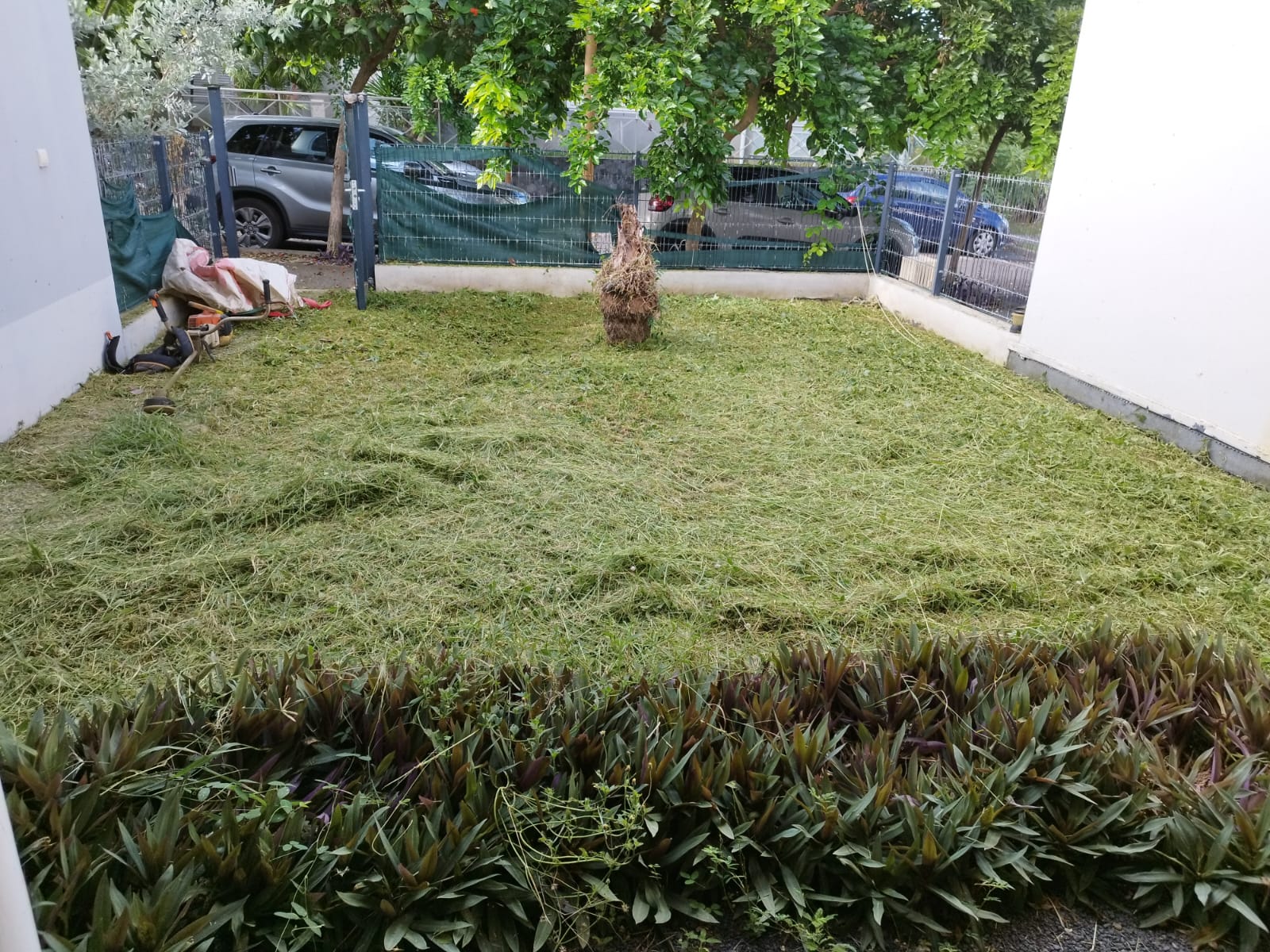 Elagage, Debrouissallage, Entretien Jardin à Le Moule 