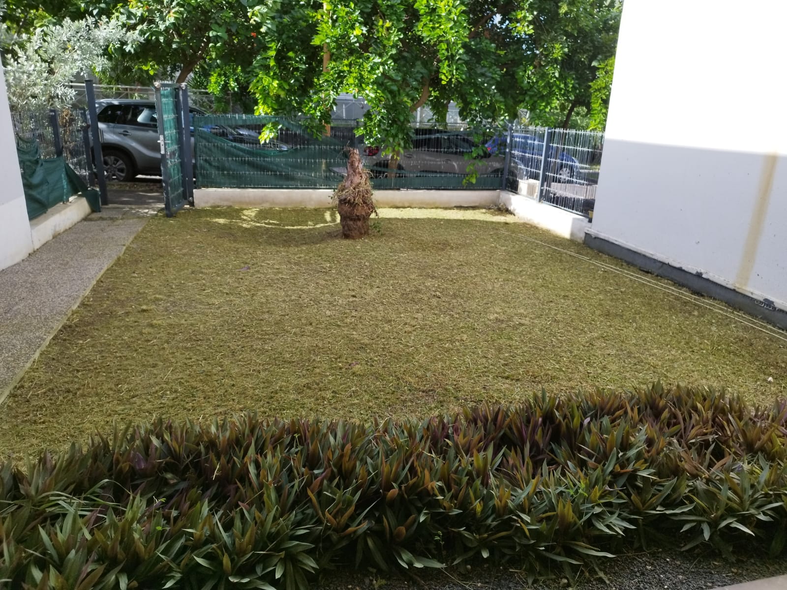 Elagage, Debrouissallage, Entretien Jardin à Le Moule 